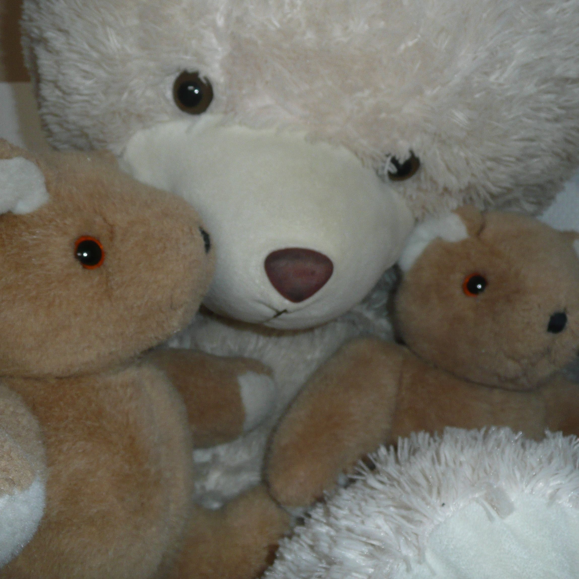 3 nounours