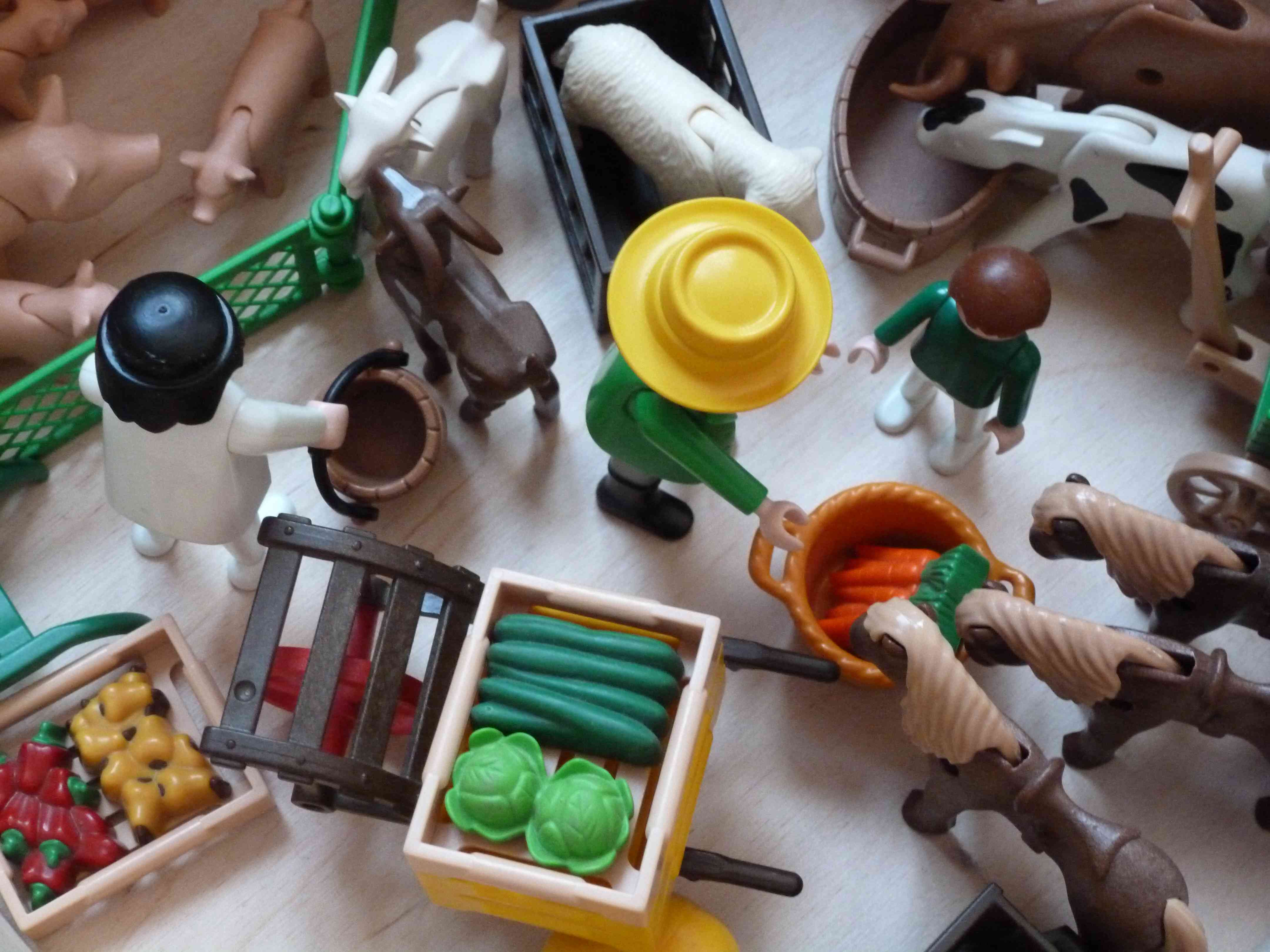 Comment ranger les Playmobil pour que la chambre soit en ordre et