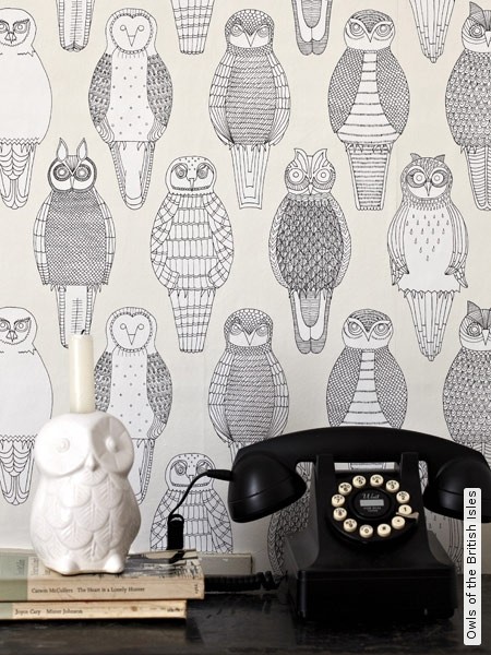 Papier peint chouettes -Owls of the British Isles- TapetenAgentur