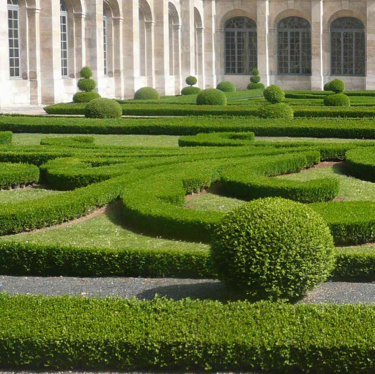 Jardin cloitre St Denis 2011