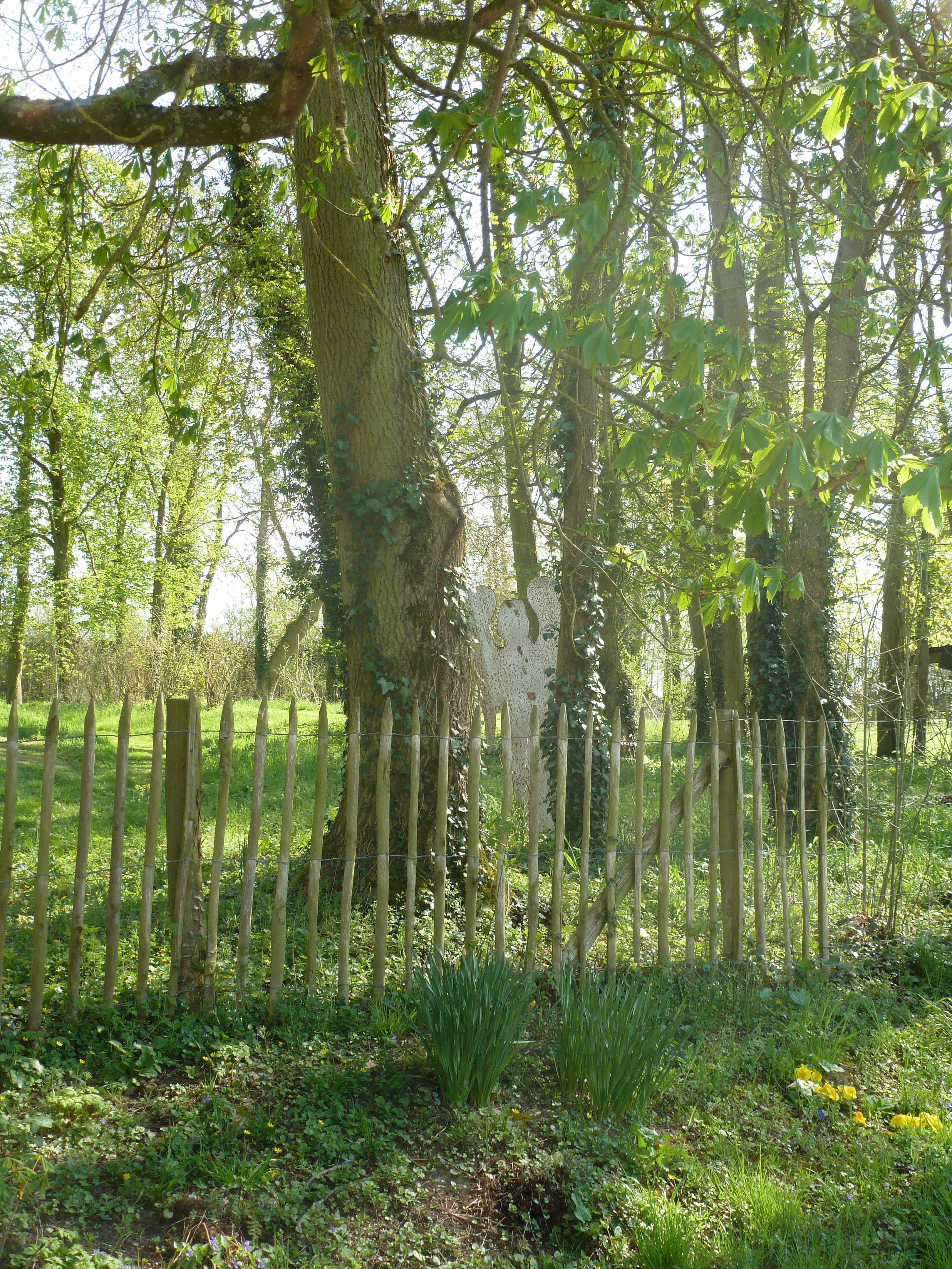 Abbaye Vaucelles ange dans foret