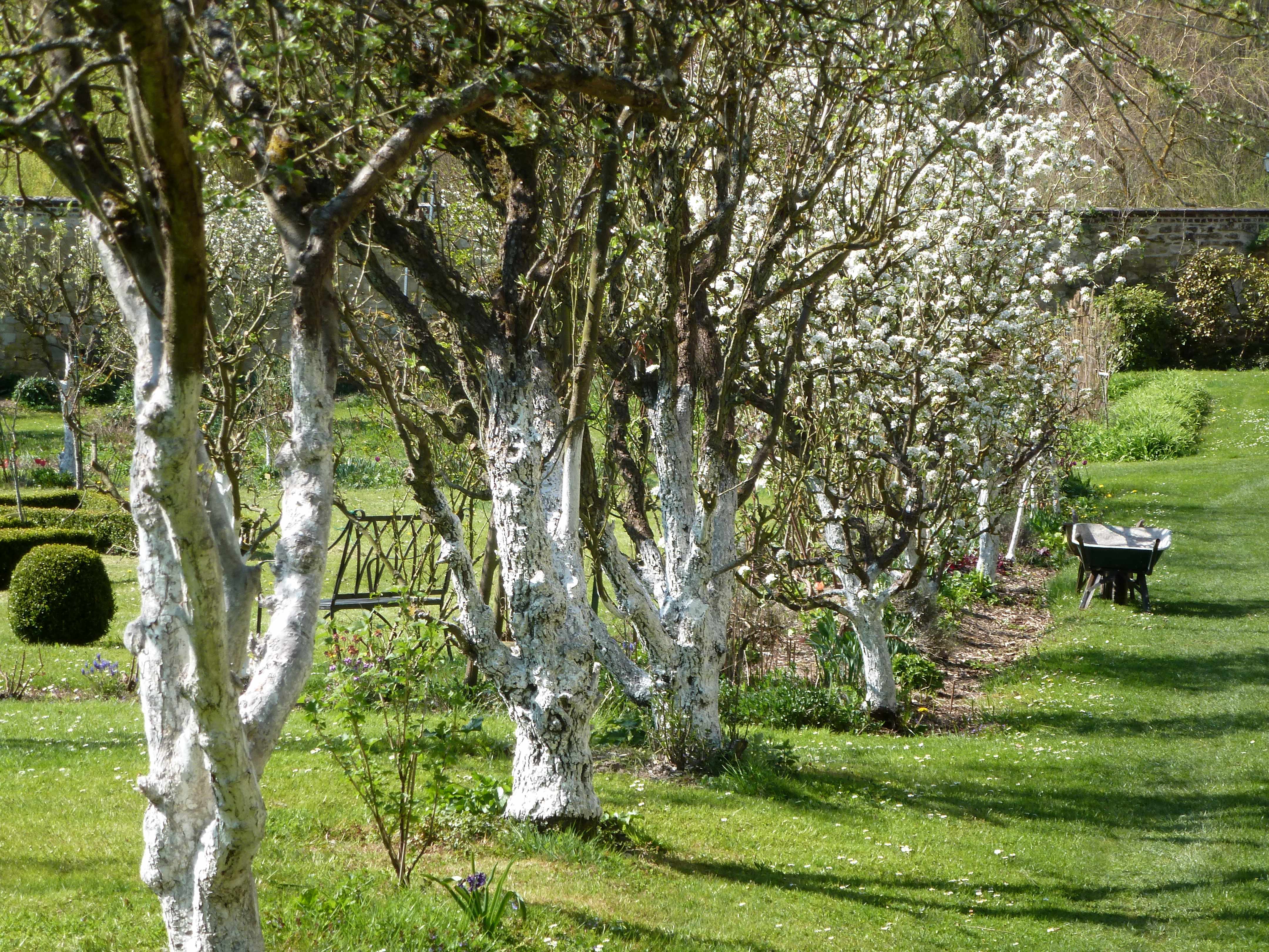 Abbaye Vaucelles verger blanc