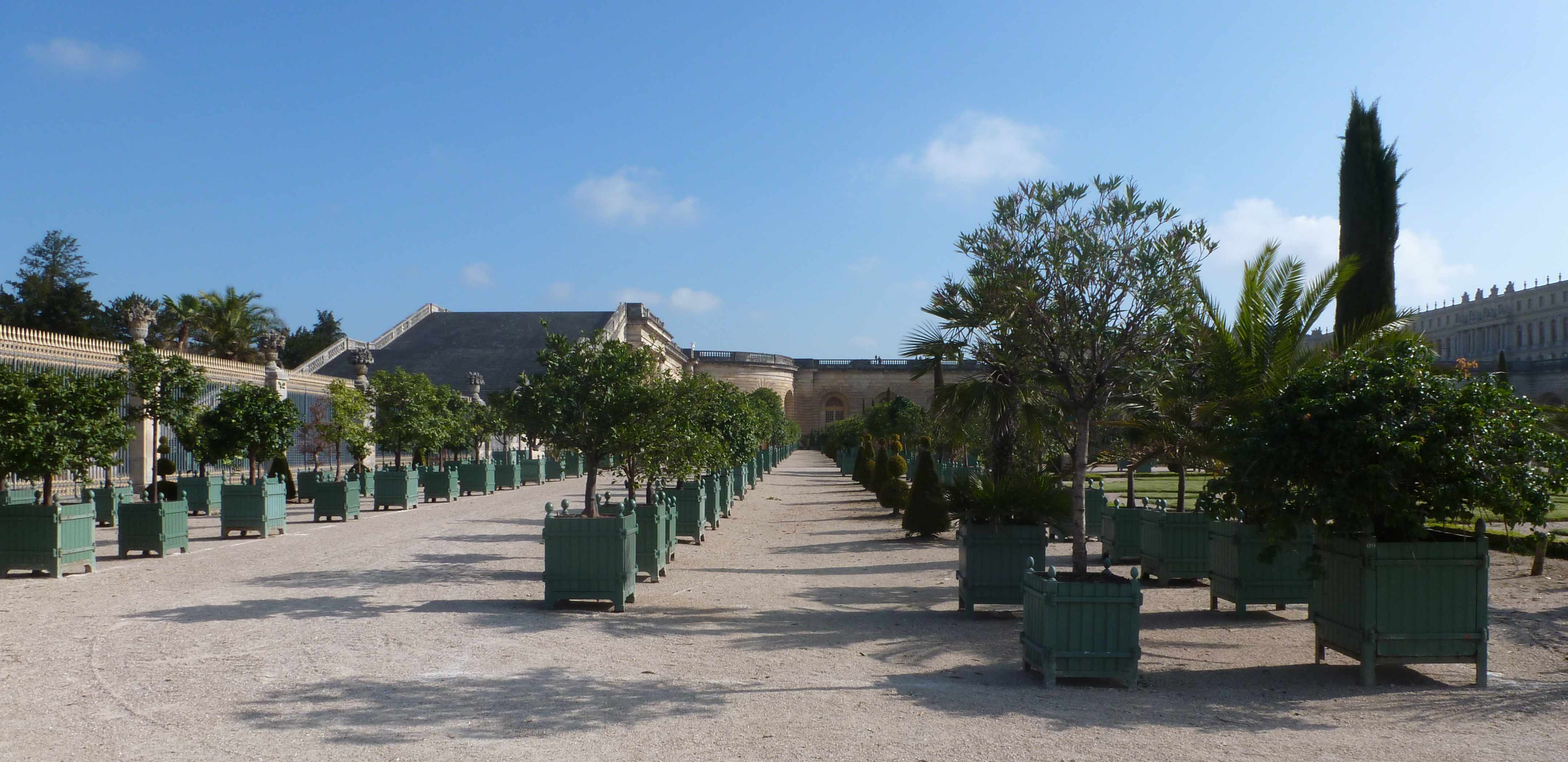 Versailles orangerie alignements 05-2013