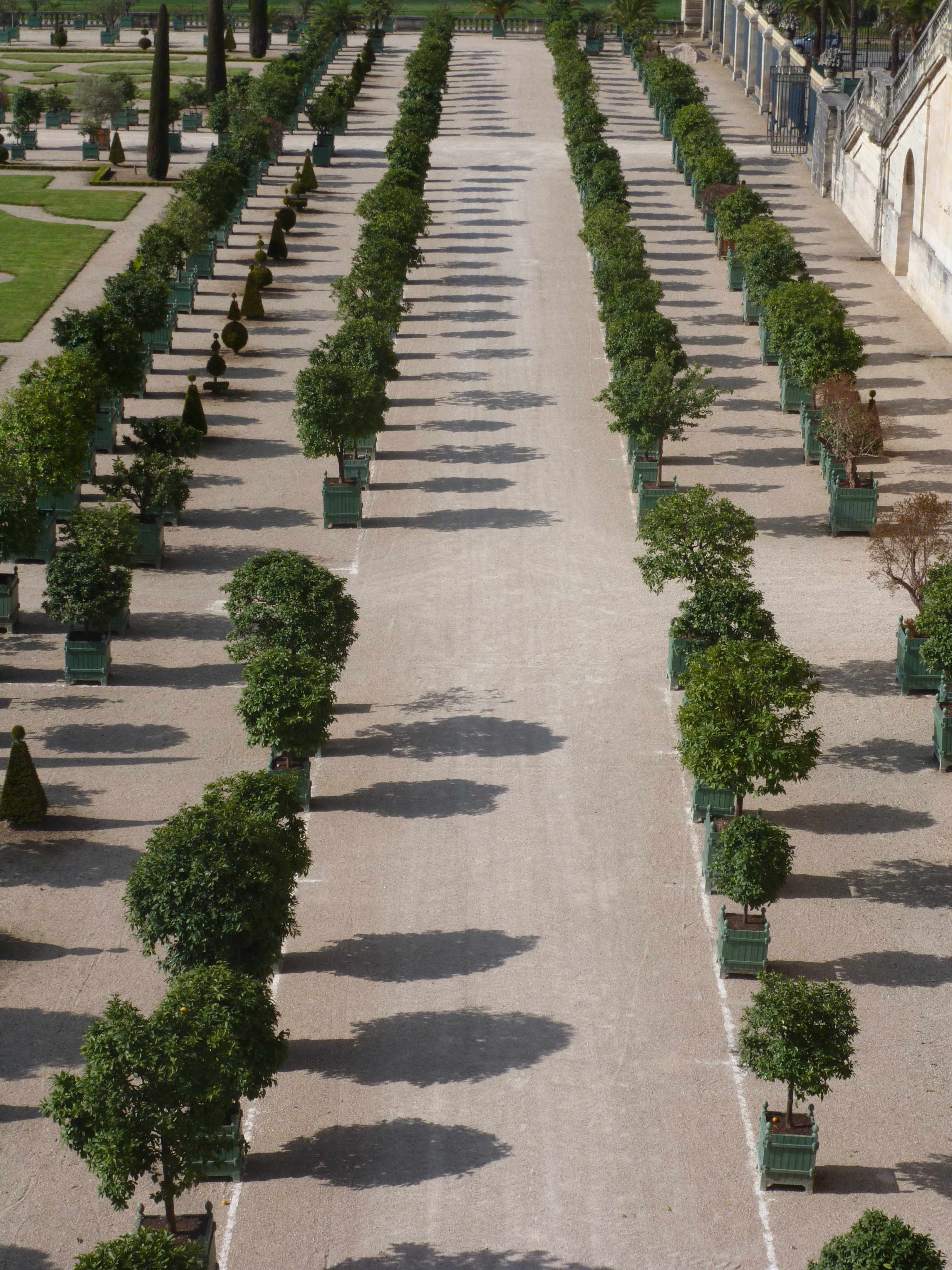 Versailles orangerie alignements ombres 05-2013