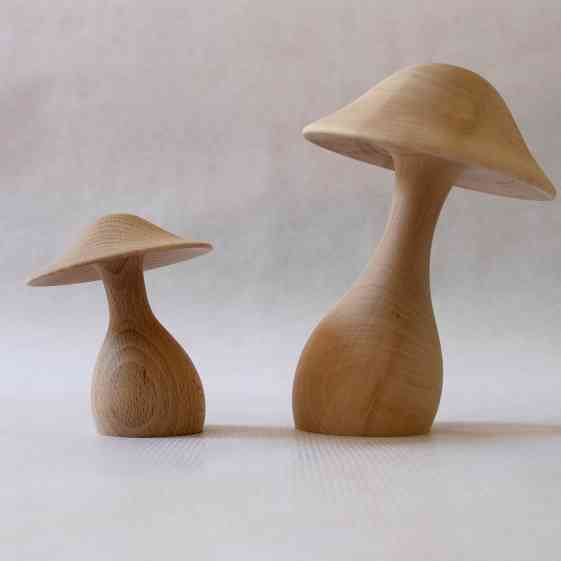 Little boheme duo_champignons_bruts