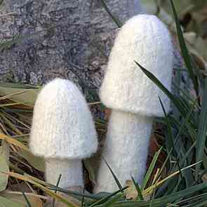 mushroom Kathryn Ivy champignon blanc tricot