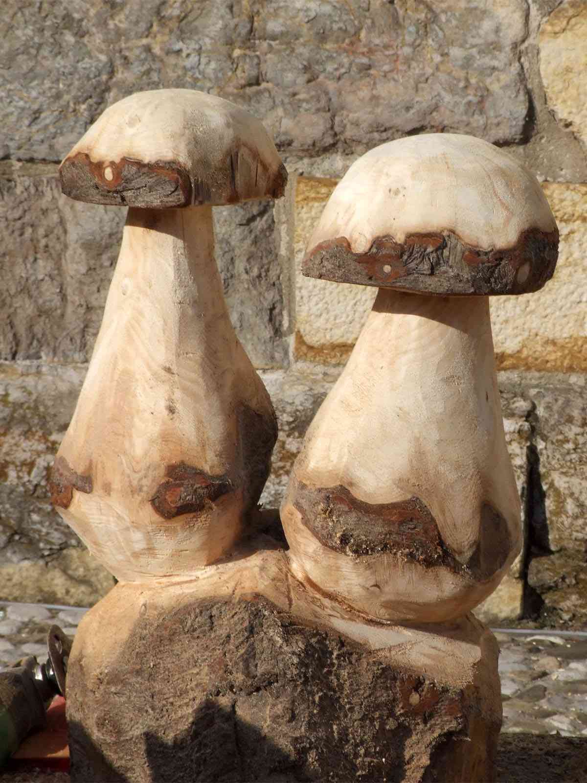 Champignons de(s) bois