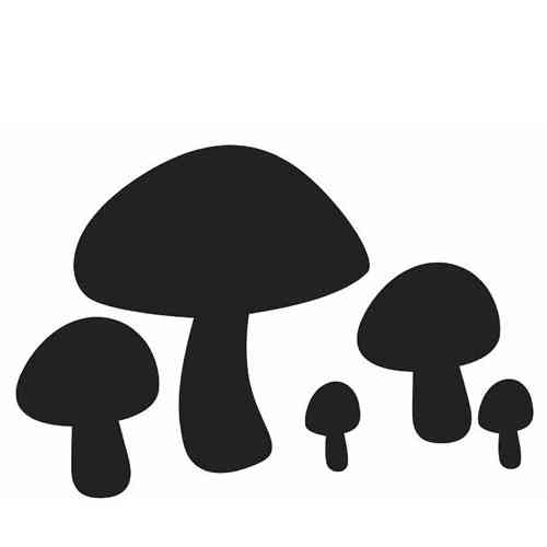 stickers-champignon-ardoise Deco-soon