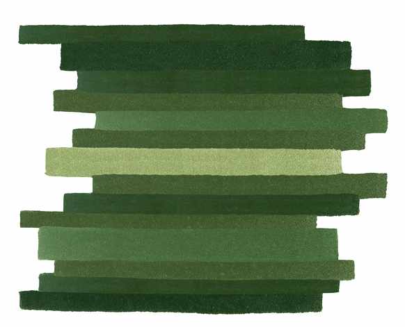 tapis parquet vert Ora-ito
