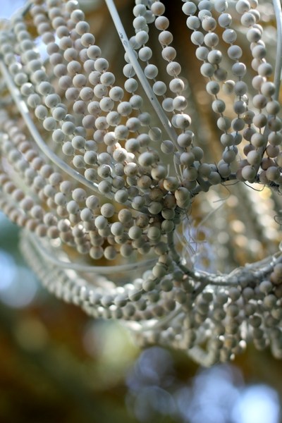 Lustres de perles Idées Retro Lustres