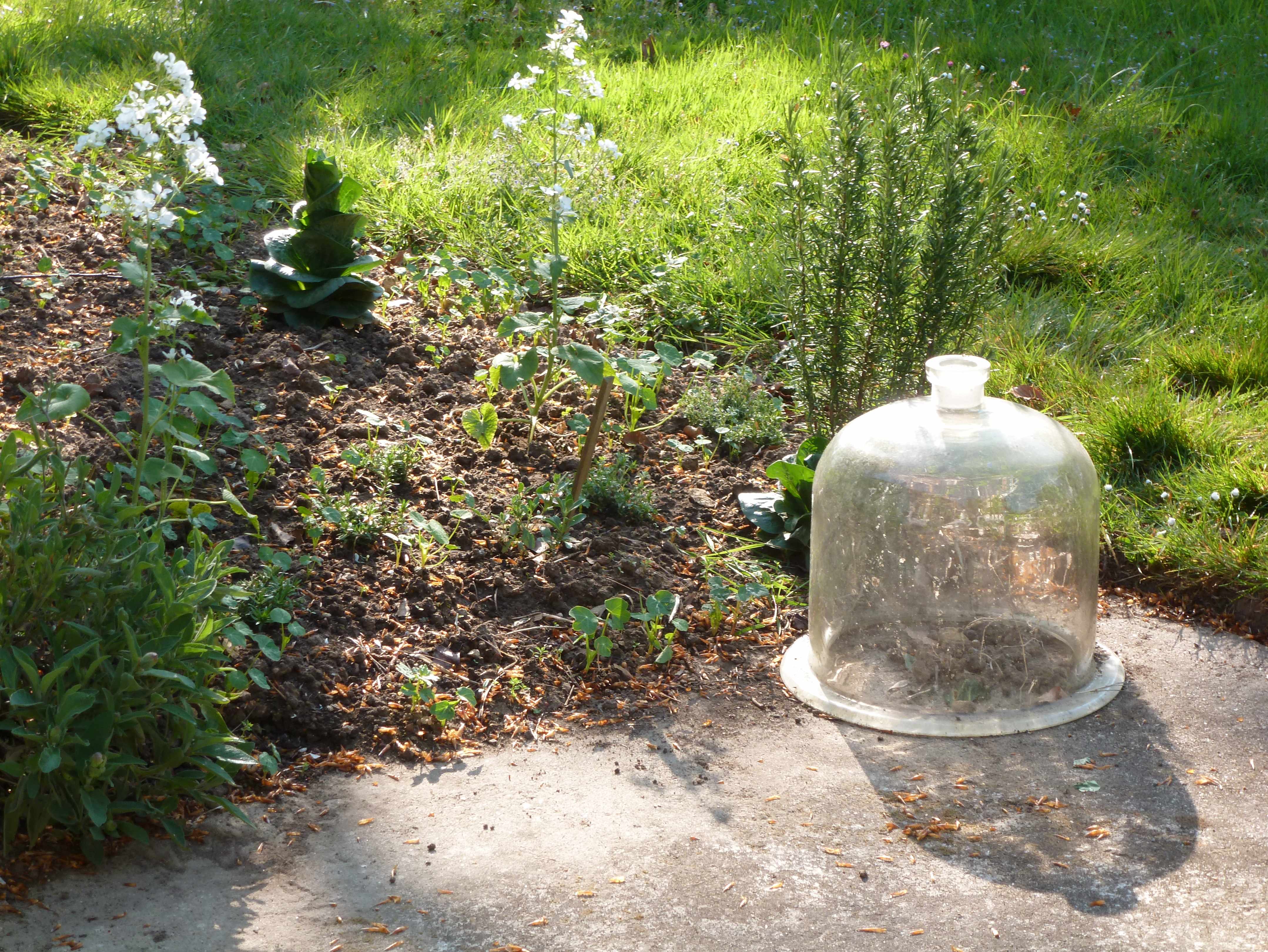 cloche au jardin matin de Paques -A-tous-les-etages