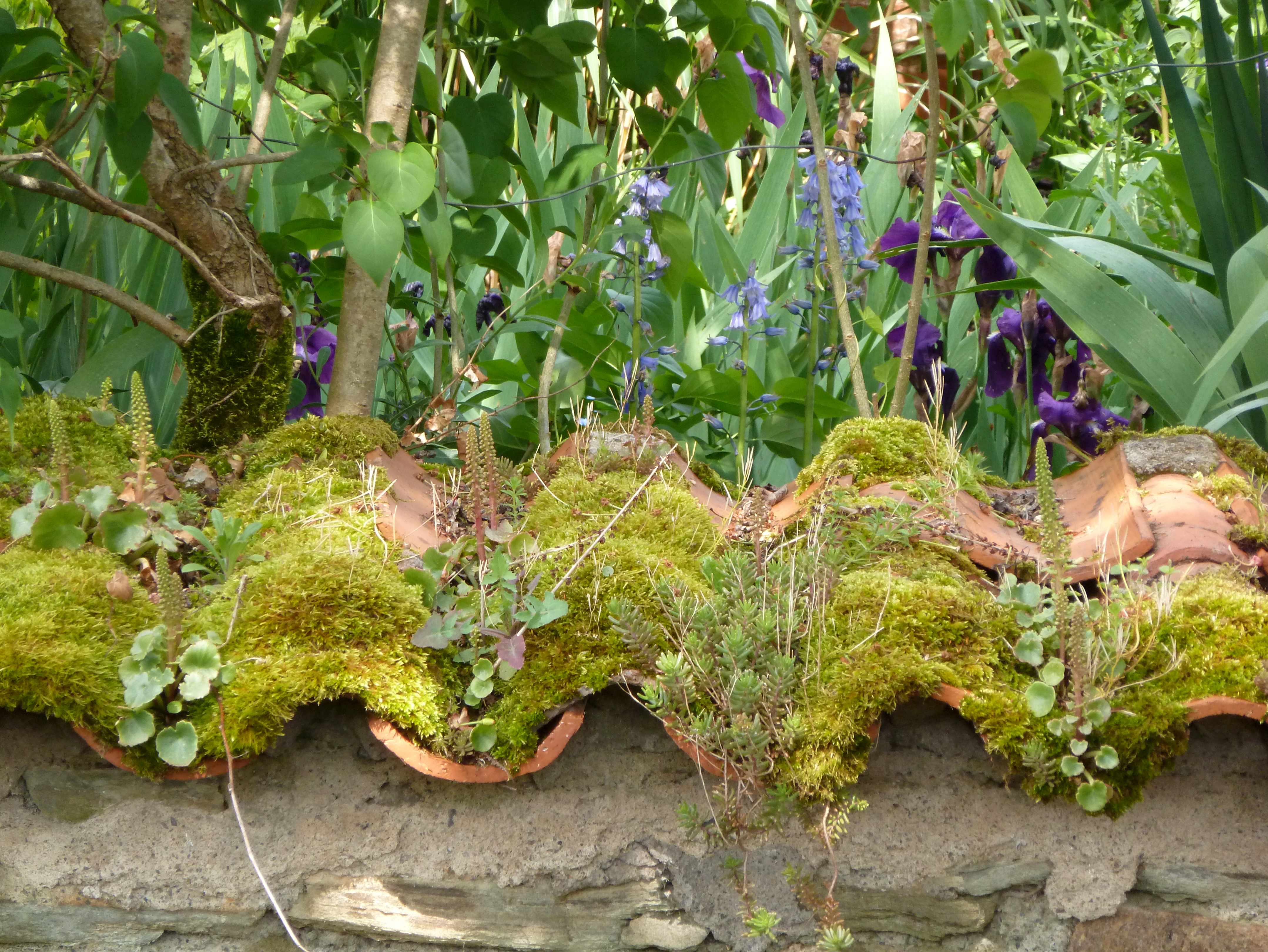 Mur-tuiles-jardin-beau-village-Vendee