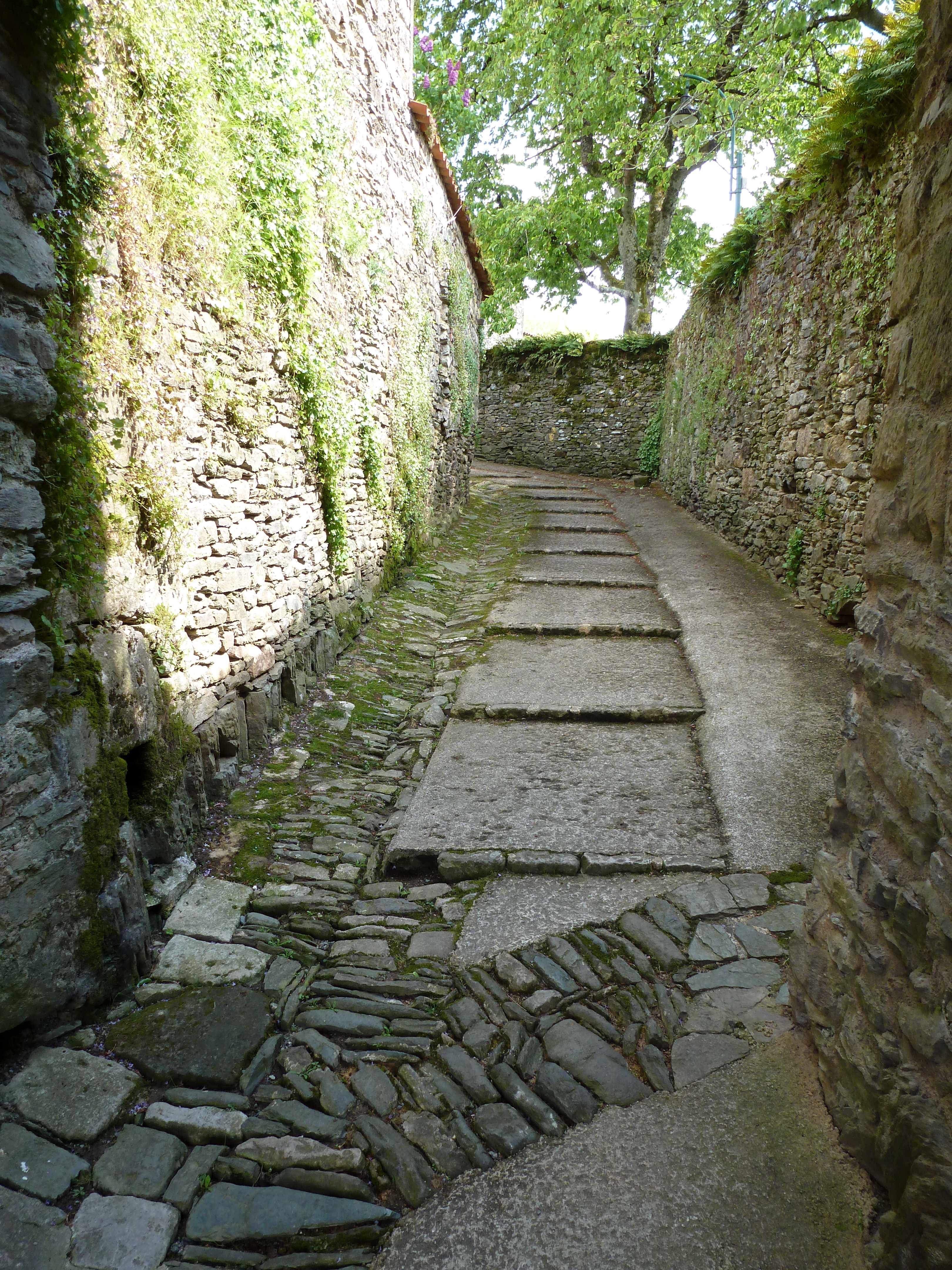 Vouvant-85-poterne-marches-dalles