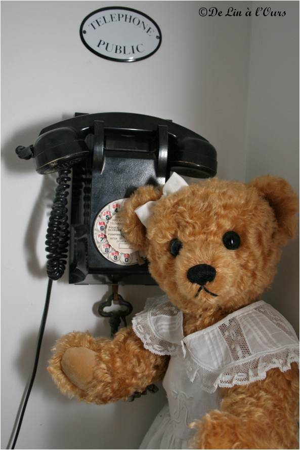 Ours et telephone De-lin-a l-ours