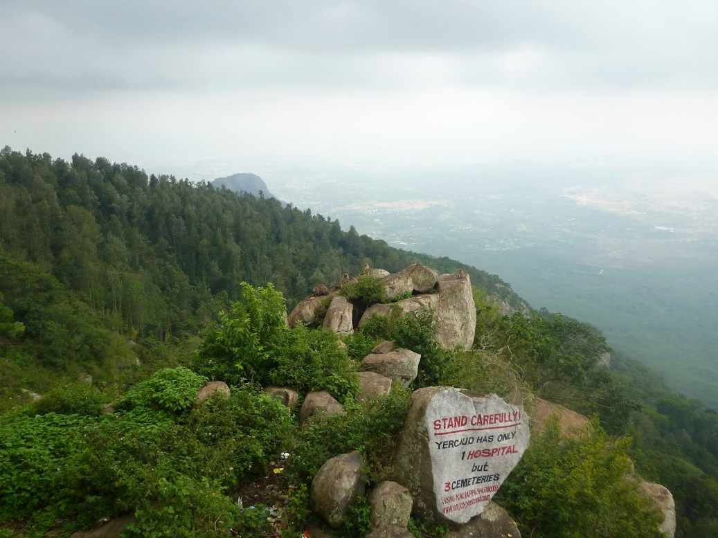 India Yercaud singes sur rochers