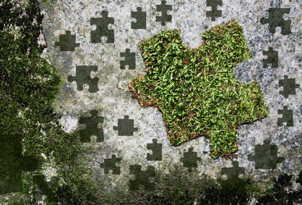 My-Moss puzzle