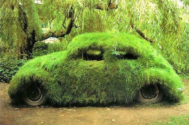 WV en mousse Moss car 2012forum