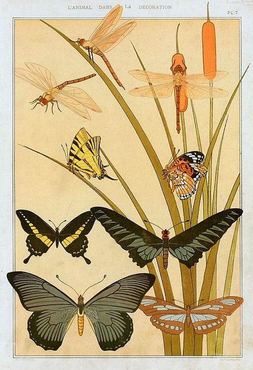 m-p-verneuil-butterflies-1897