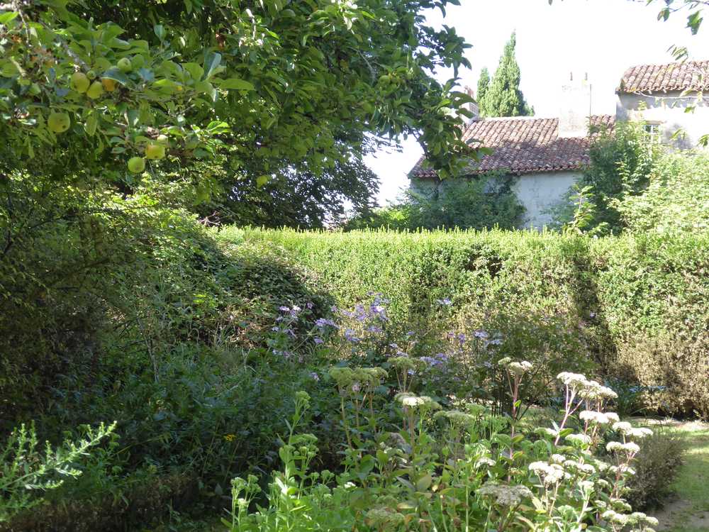 2017-08_Poitou_prieure_Laverre_Aslonnes_jardin_sauges