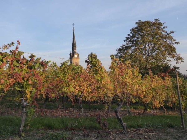 Hattstatt_Alsace_vignoble_eglise