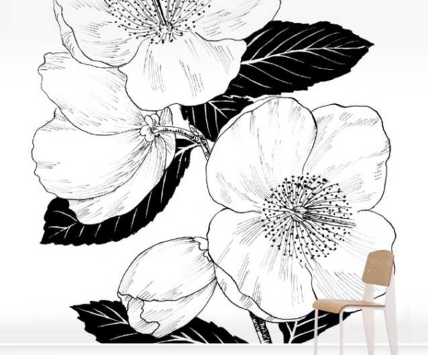 Eucryphia-Nymansensis_Wallpaper_SurfaceView