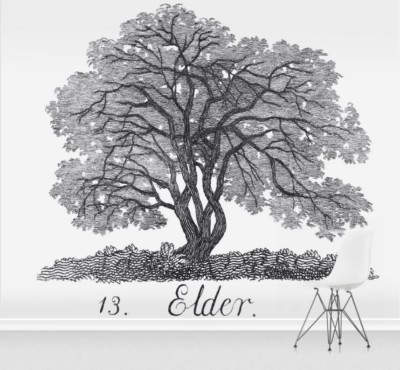 SurfaceView_Elder