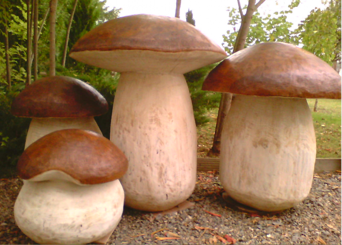 Champignons en bois inachevé, décoration en bois naturel