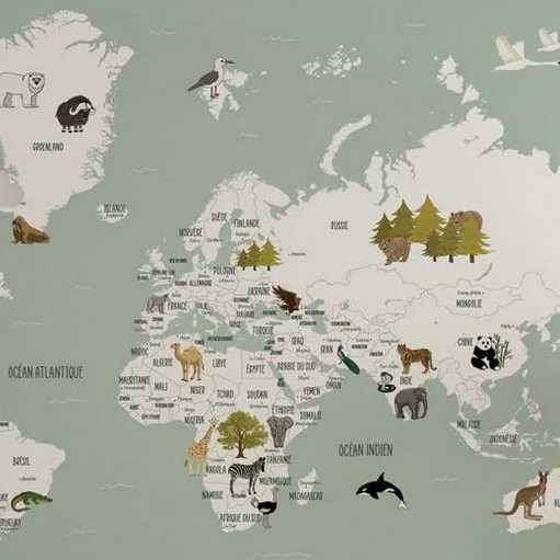 Papier peint Carte du monde enfant - Muralconcept