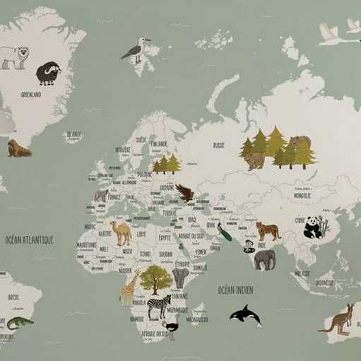 Papier peint Carte du monde en Francais enfant - Muralconcept