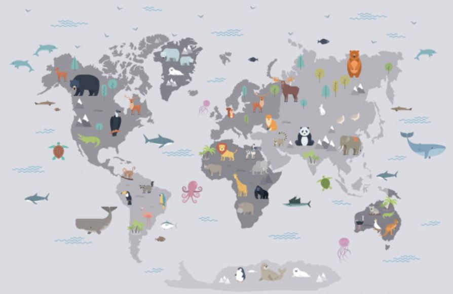 Papier Peint Panoramique Planisphère Enfant World Map - 99 Déco